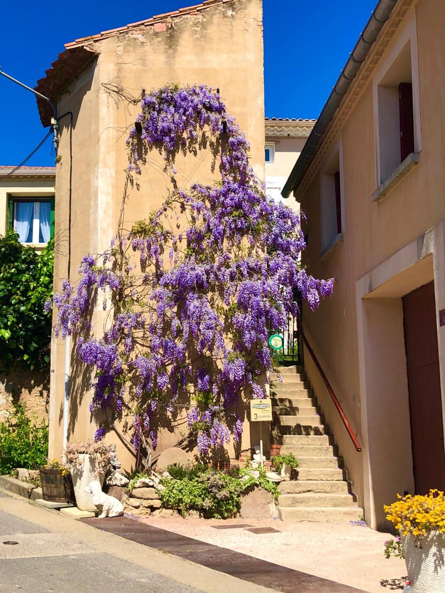 Maison Du Midi, 2 Gites De Charme Ginestas Bagian luar foto